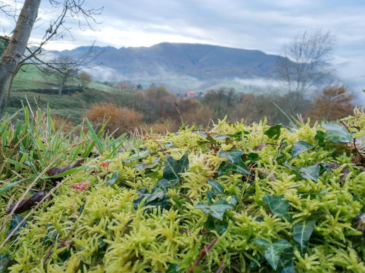 El Balcon Del Horreo Villa Piloña Eksteriør billede